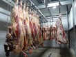 Animal slaughter