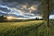 God’s determination of destiny: His will and cause and effect.